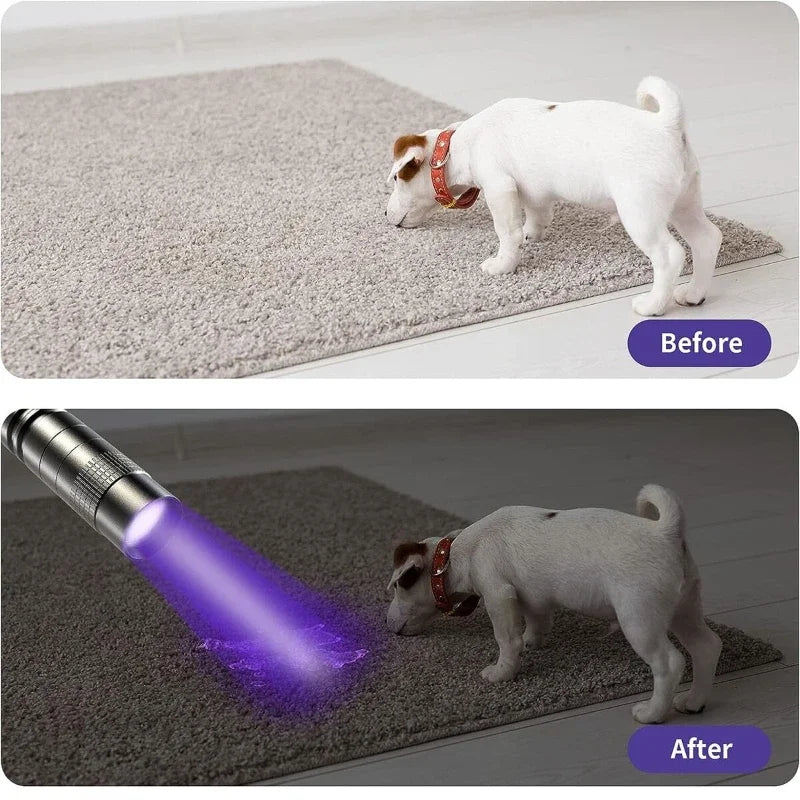 UV Flashlight 395nm – Mini Ultraviolet Torch with Pen Clip (Pet Urine & Scorpion Detector